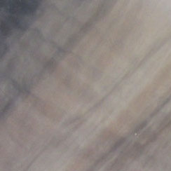 Click the image below to view a detail of the shell color